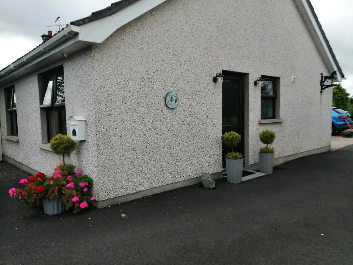 Lynn'S Lodge, International Airport 15Mins Randalstown Bagian luar foto