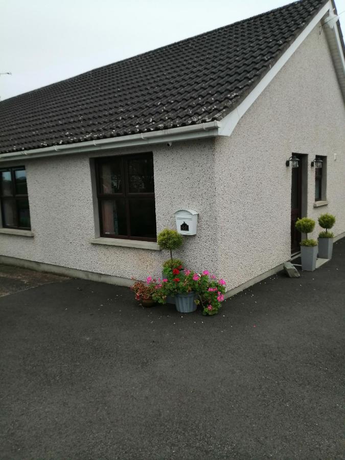 Lynn'S Lodge, International Airport 15Mins Randalstown Bagian luar foto